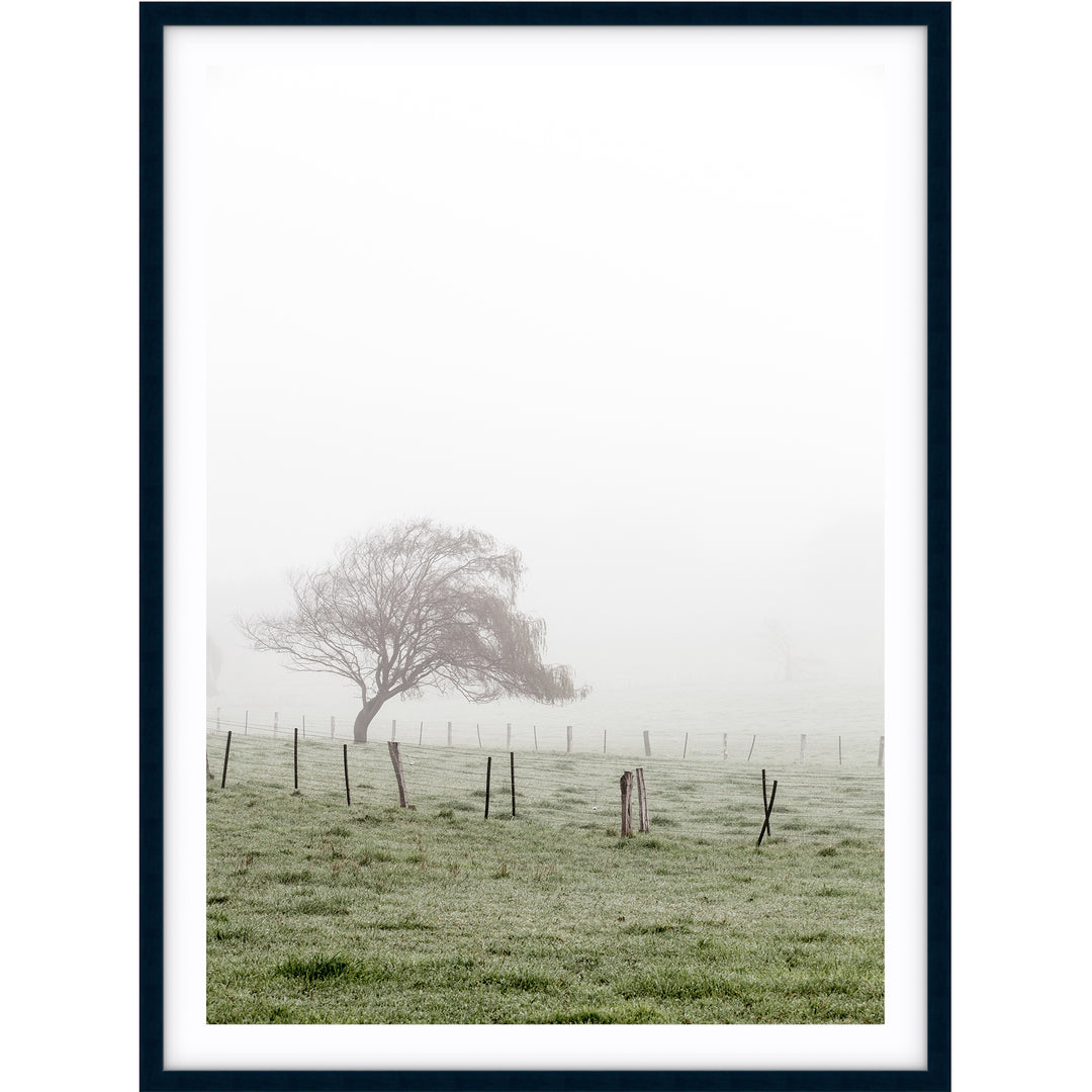 Morning Fog II - Country Victoria
