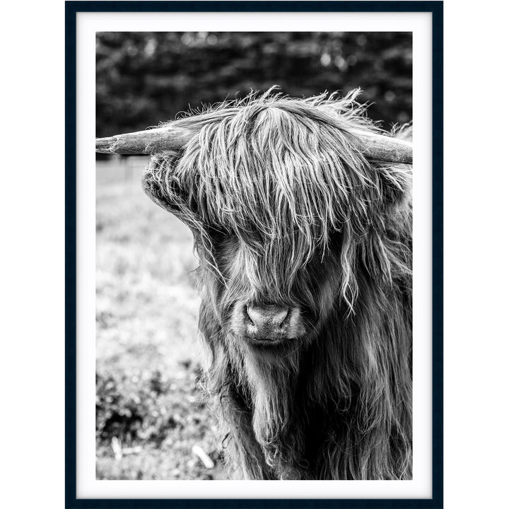 Highland I B+W