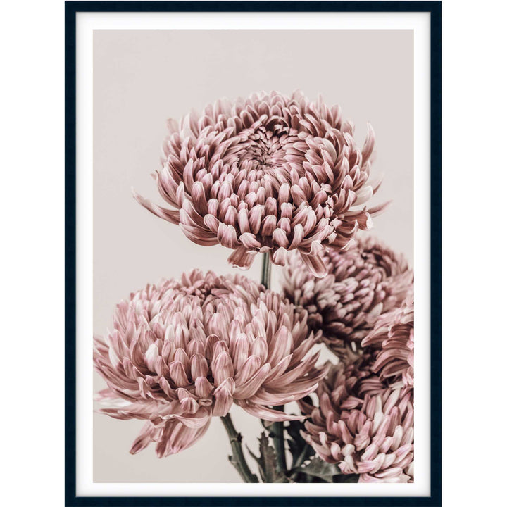 Vintage Chrysanthemums I