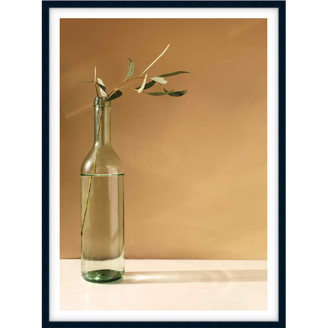 Eucalyptus Stem