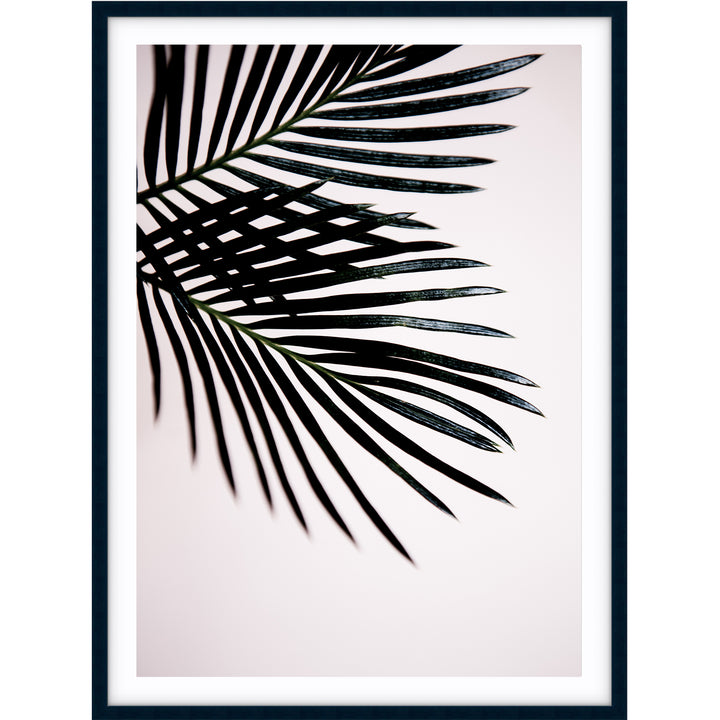 Sago Palm I