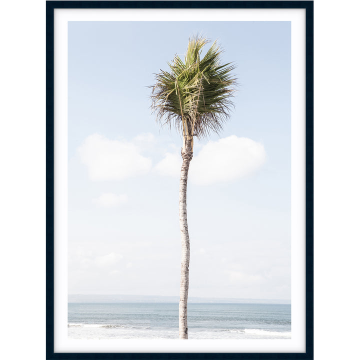 Bali Palm