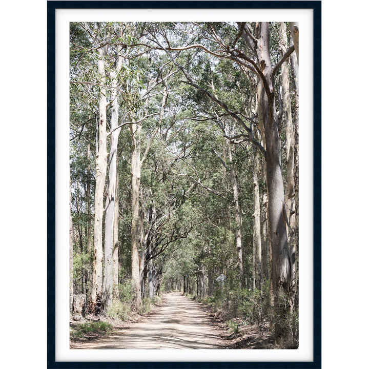 Gumtrees - The Hunter Valley