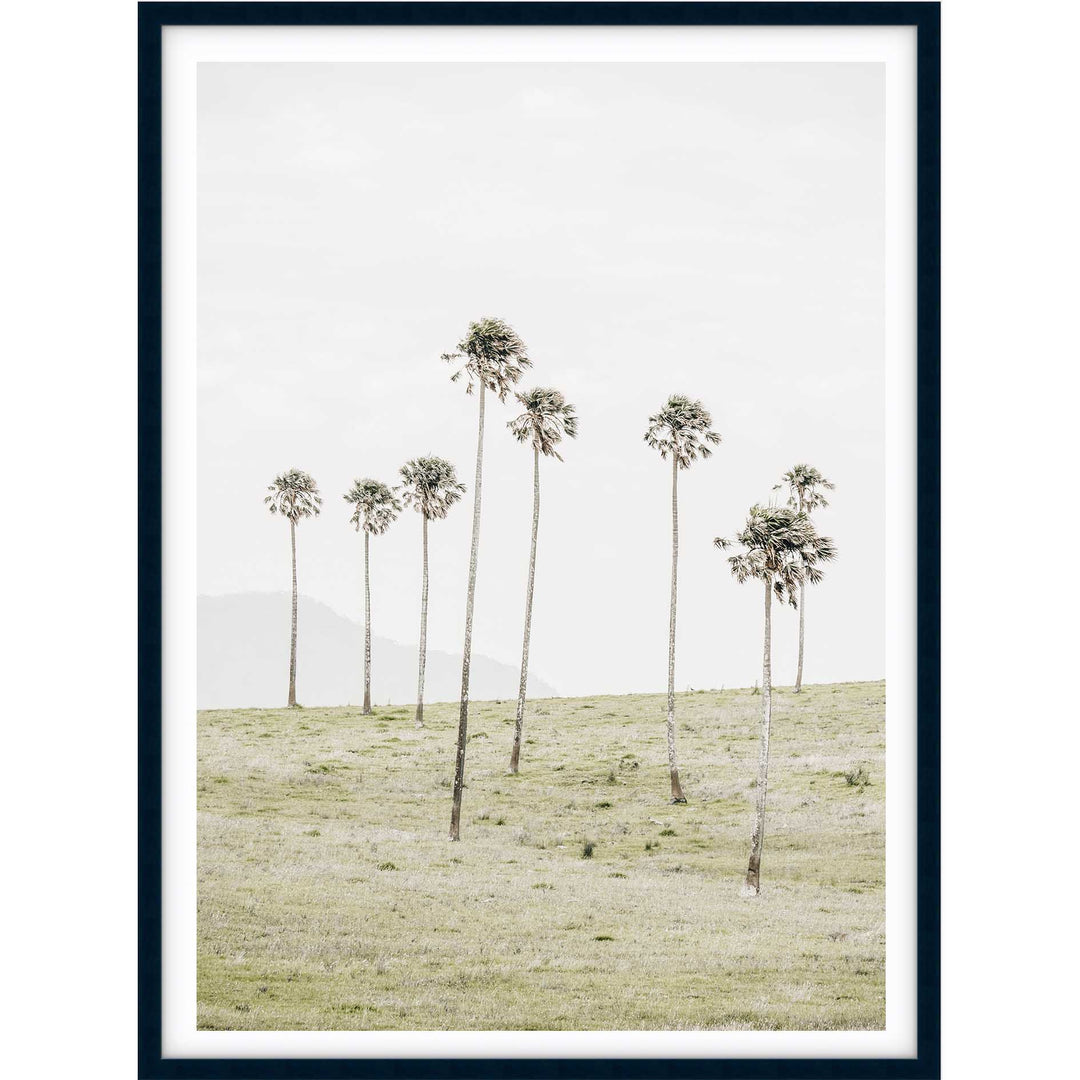 Jamberoo Palms no.2
