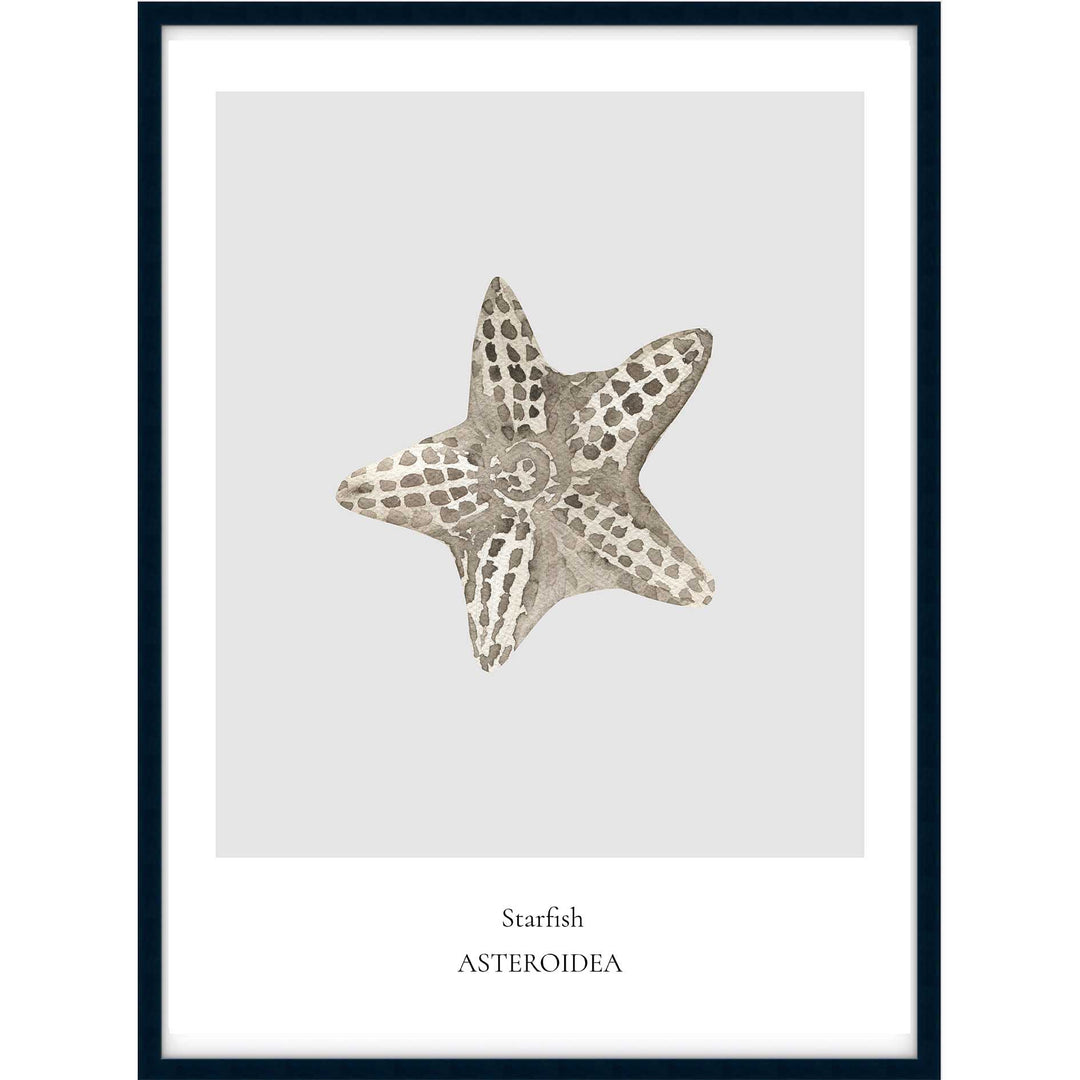 Starfish