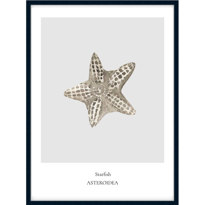 Starfish