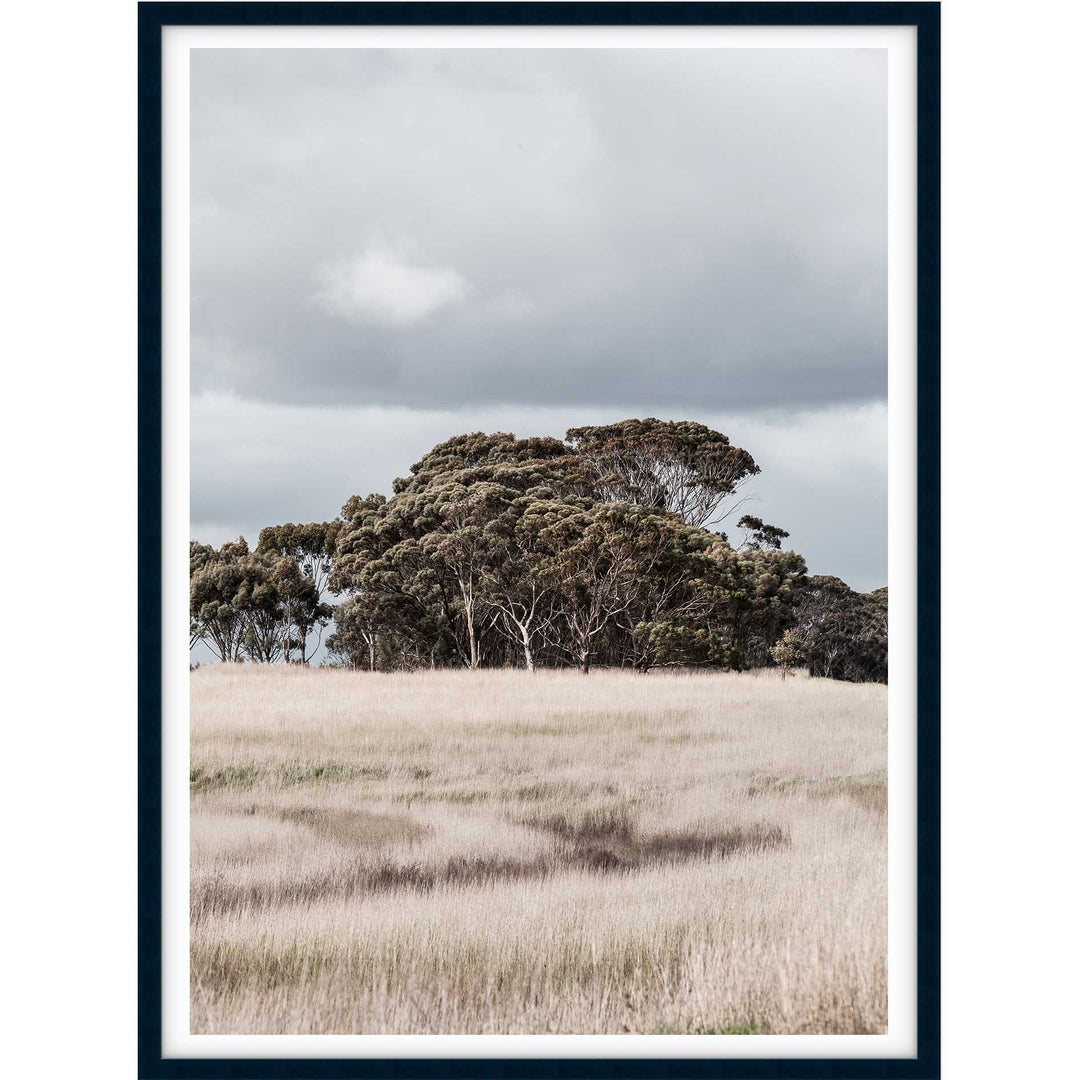 Country Life - Victoria