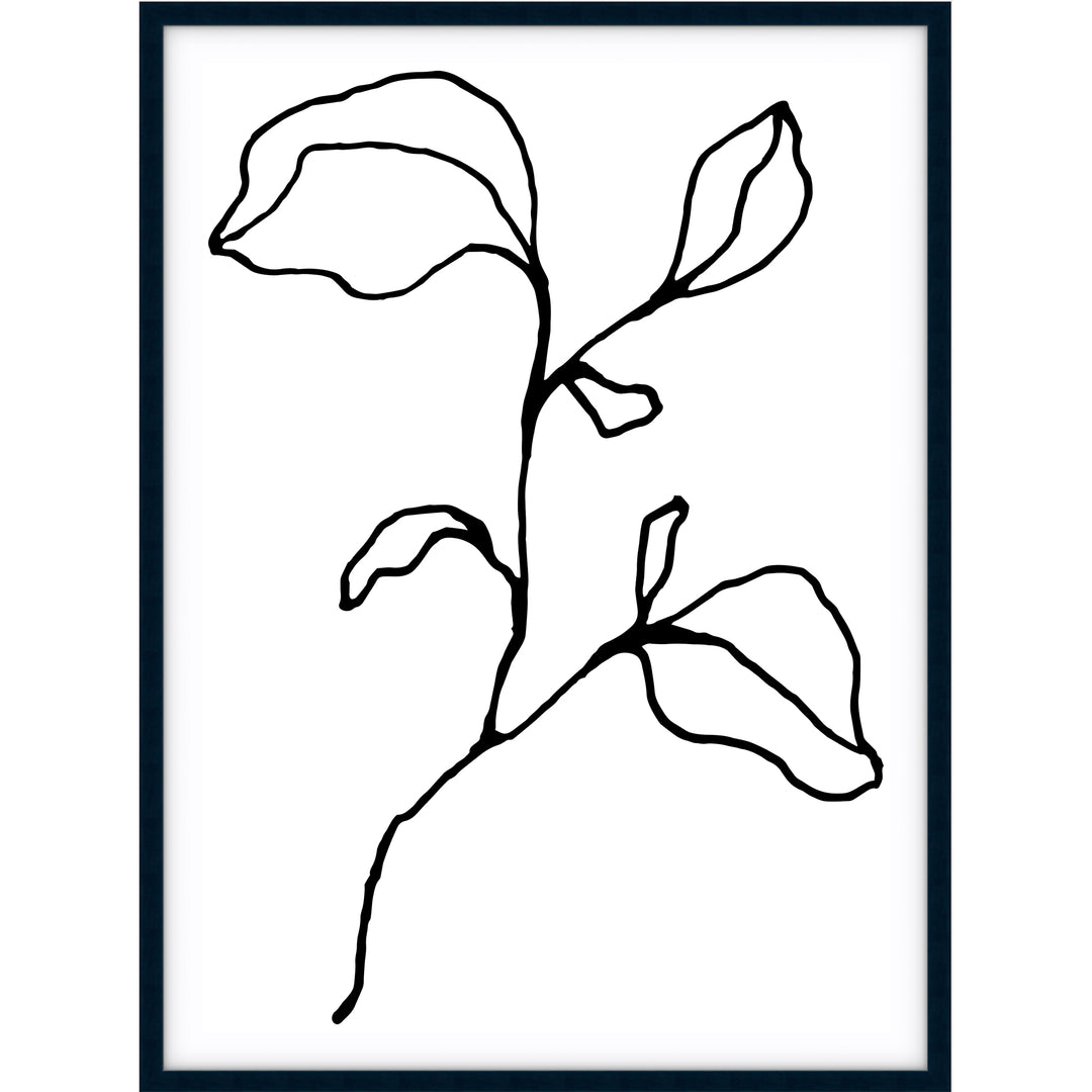 Floral Lines no.2