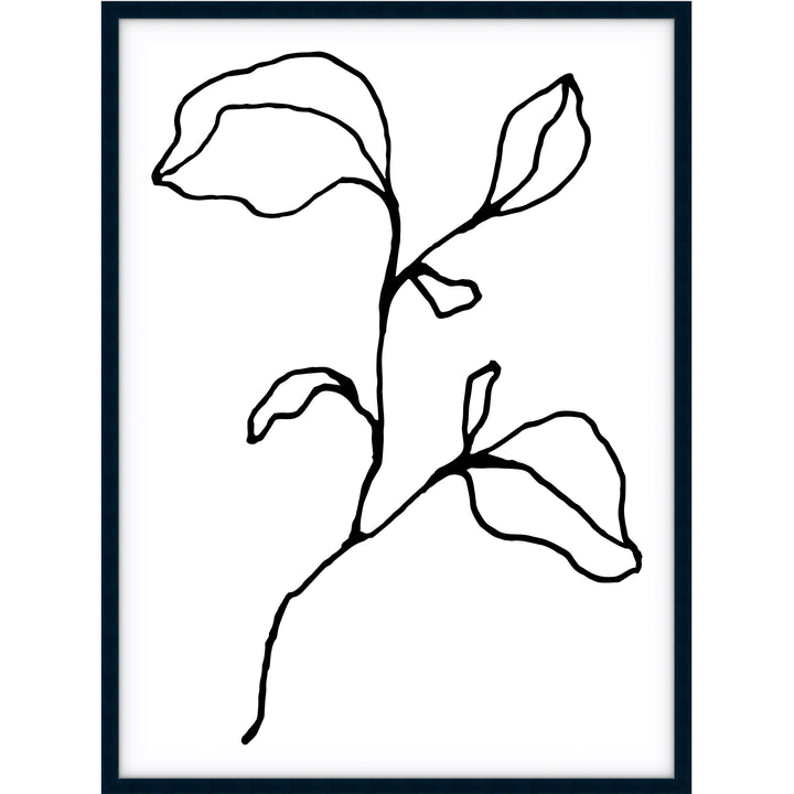 Floral Lines no.2