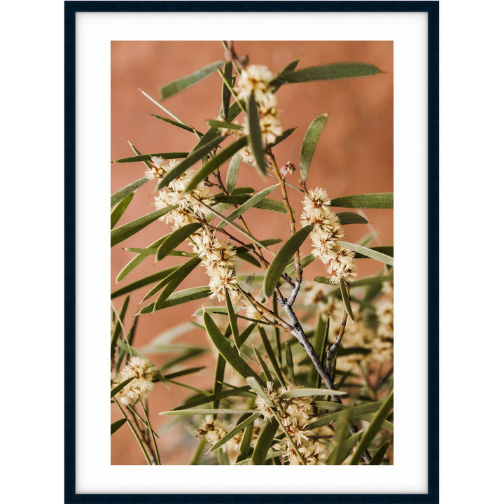 Outback Floral