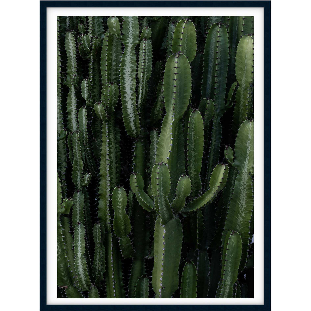 Crowded Cactus