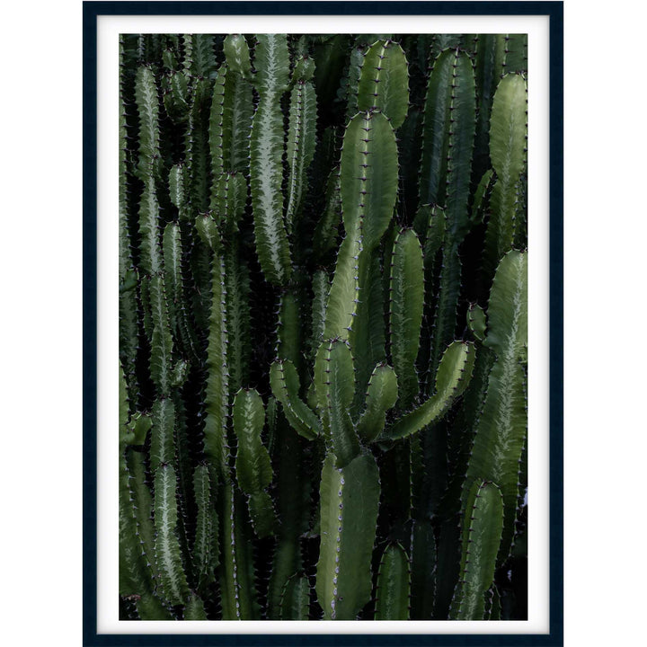 Crowded Cactus