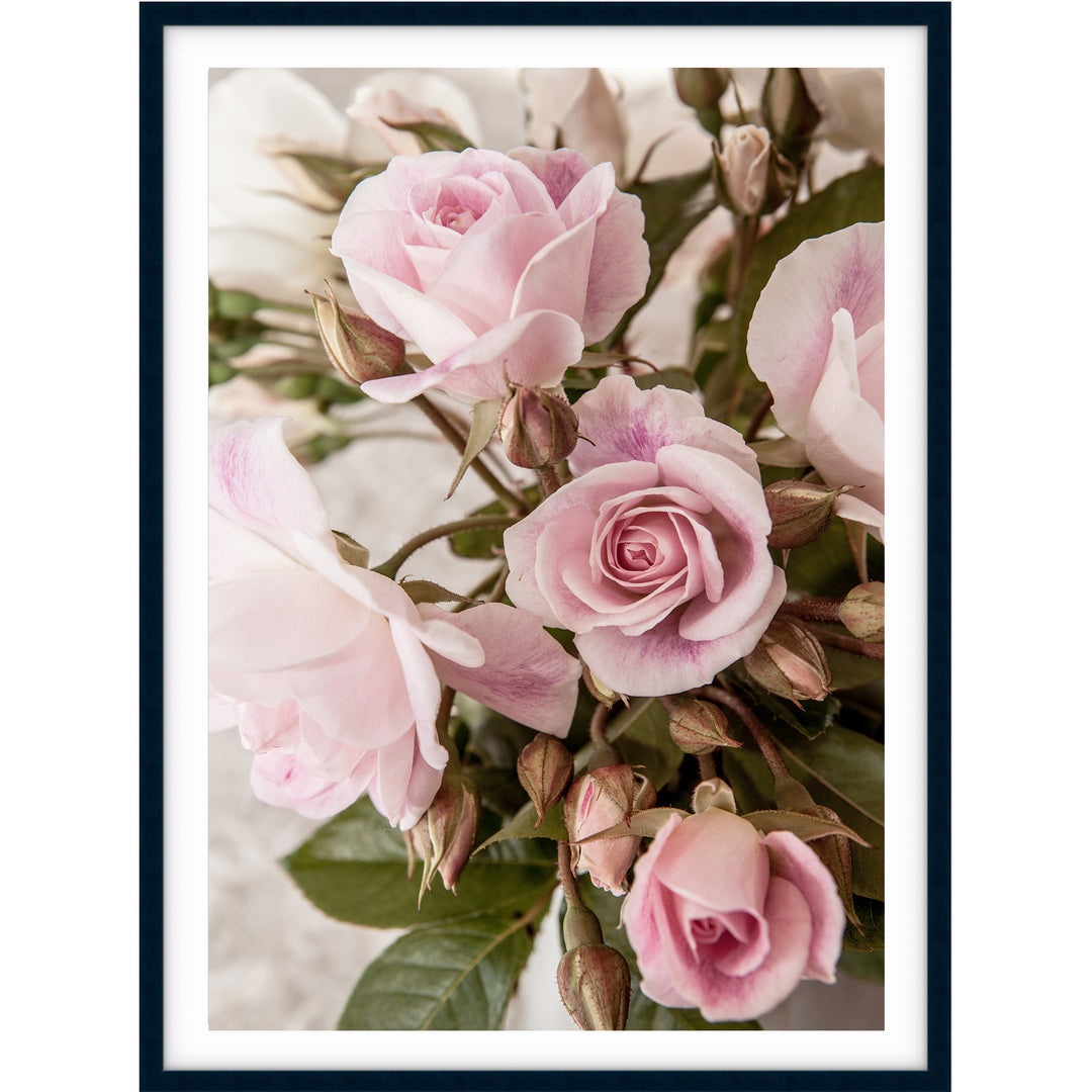 Rose Garden I