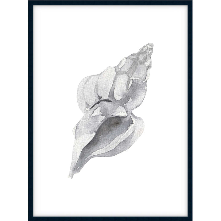 Shell no.1