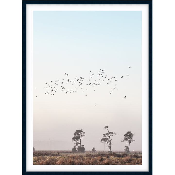 Birds At Sunrise no.1 - Stockton Beach