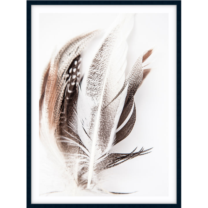 Feathers no.3
