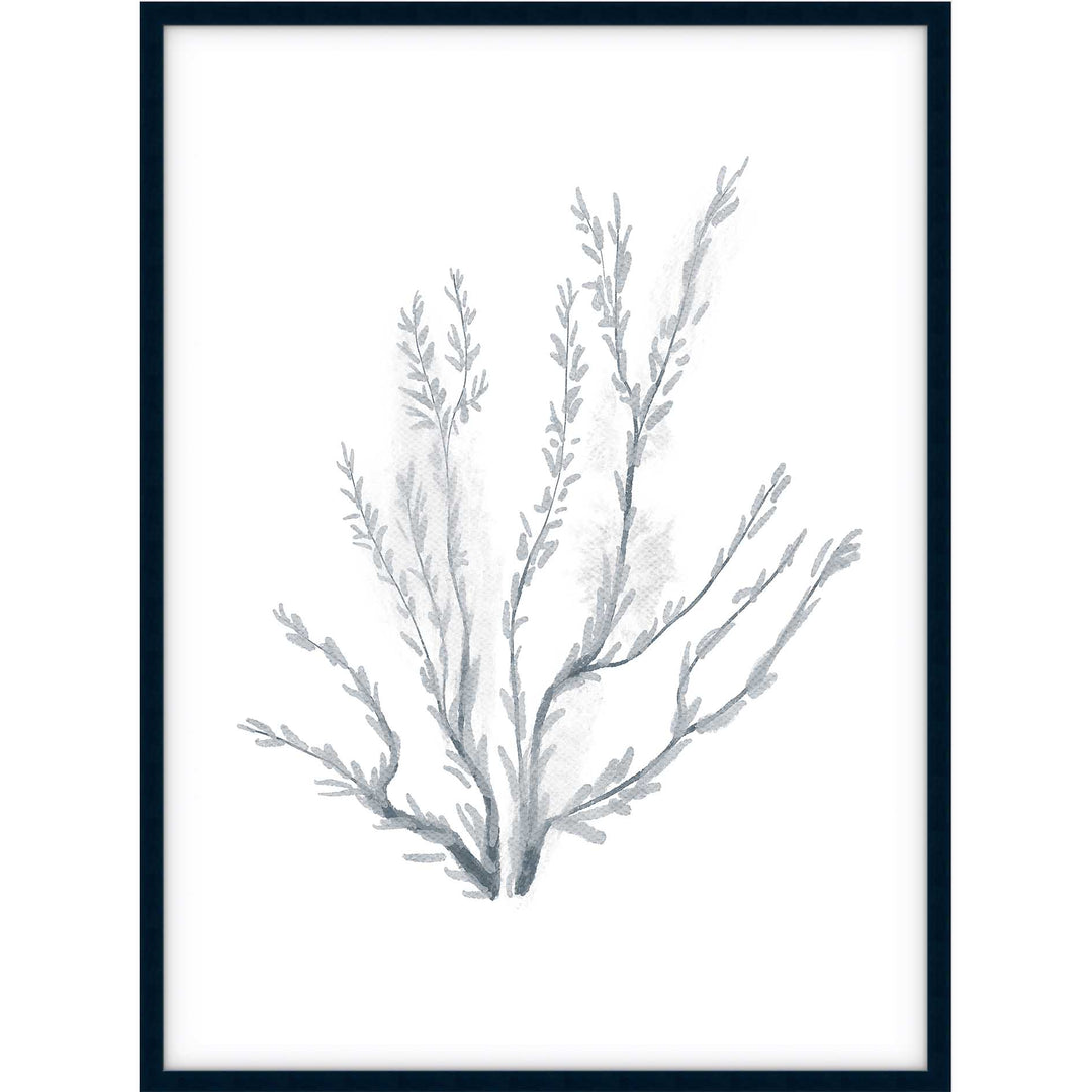 Coral no.3