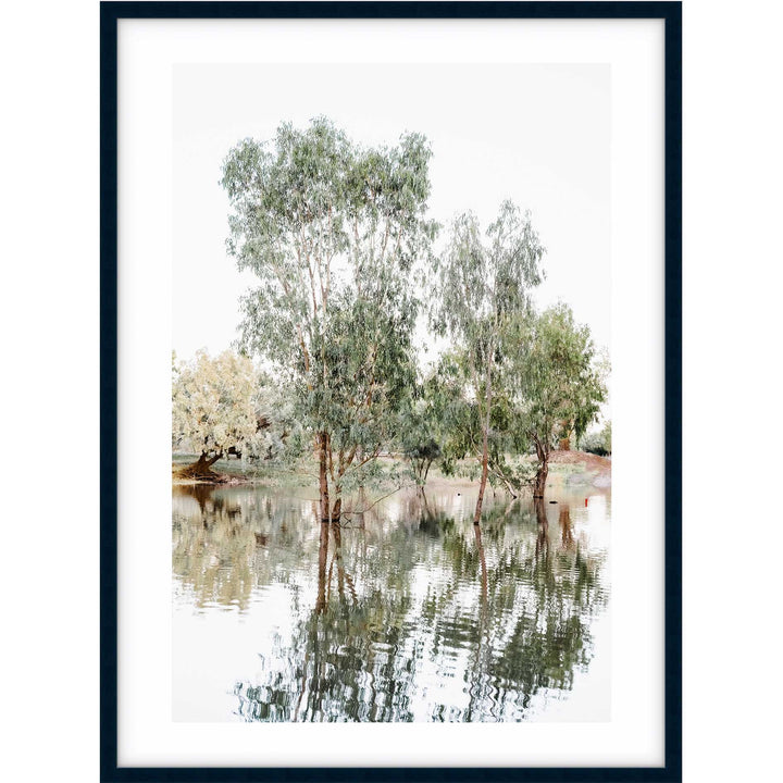 The Darling River Gum Trees I