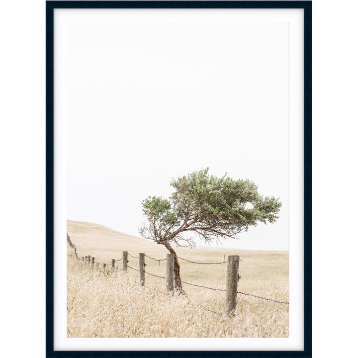 Fence - Country Victoria