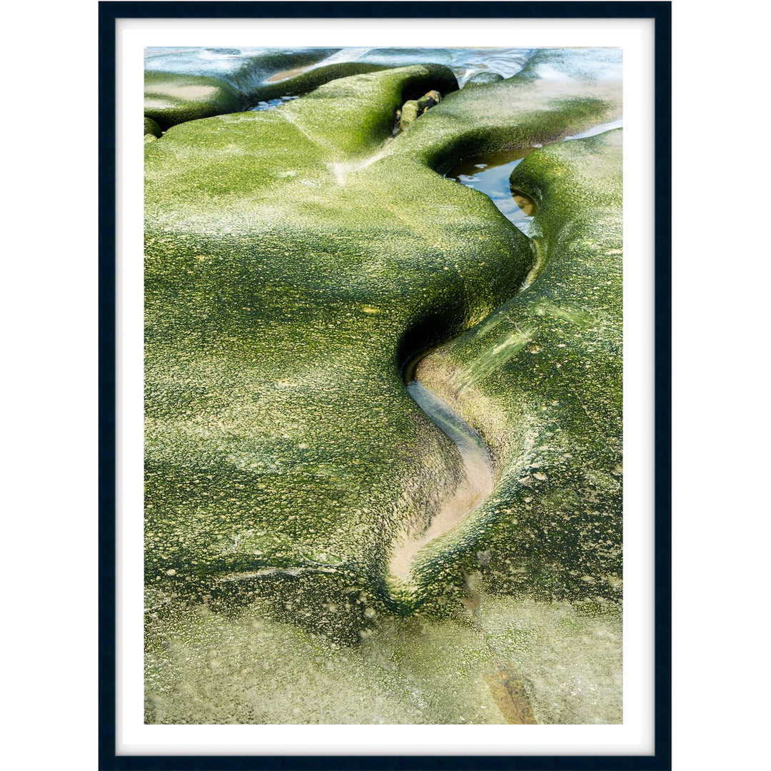 Salt & Moss II