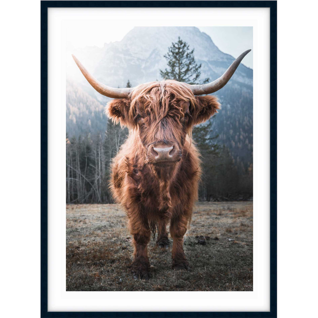 Wild Highland II