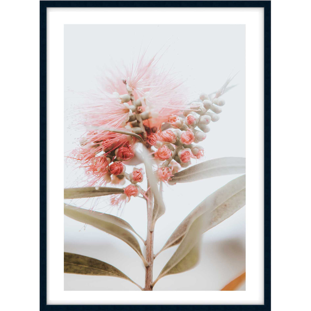 Bottle Brush II