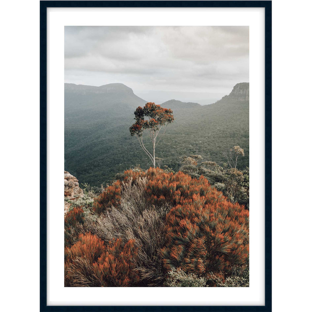 The Blue Mountains View