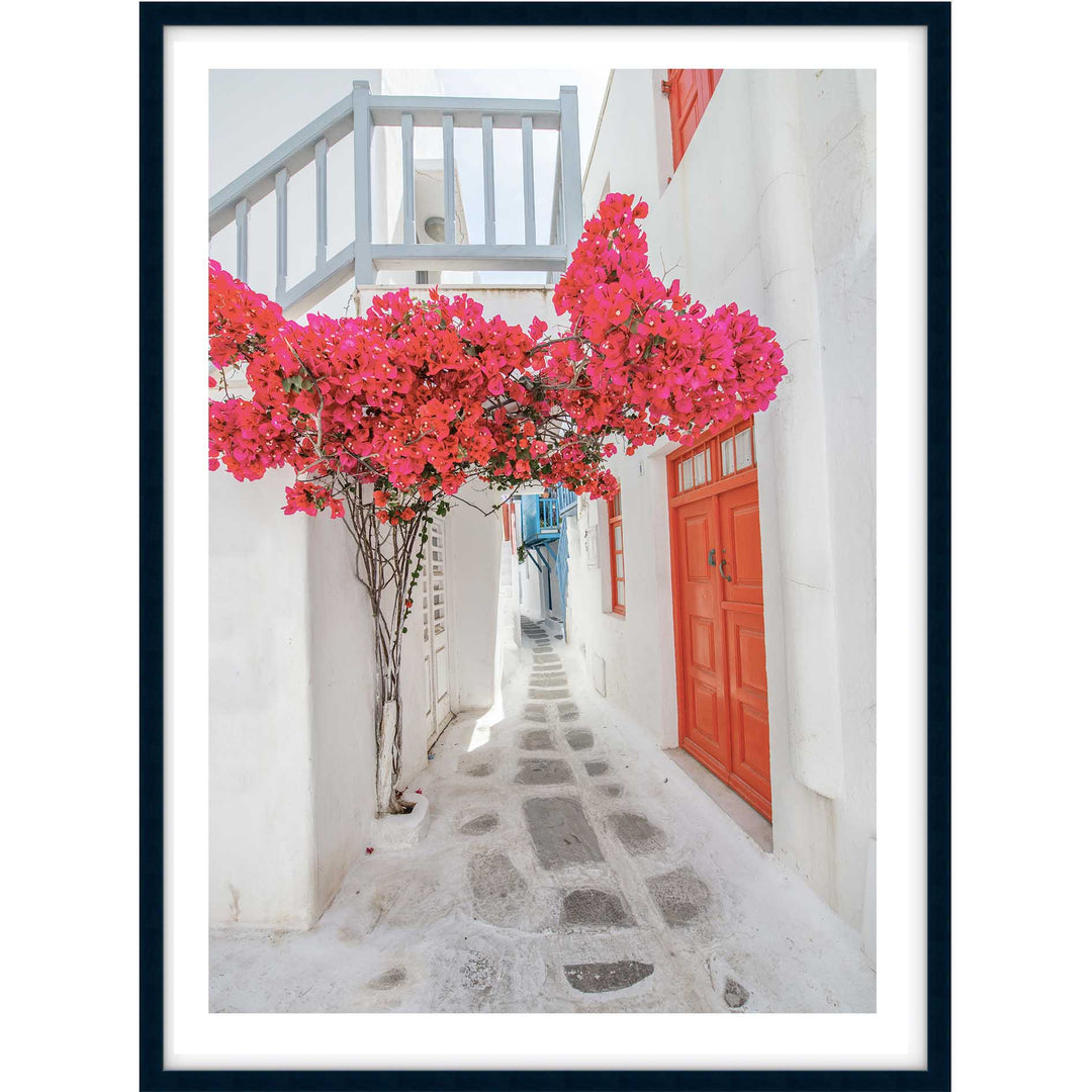 Citrus Doors
