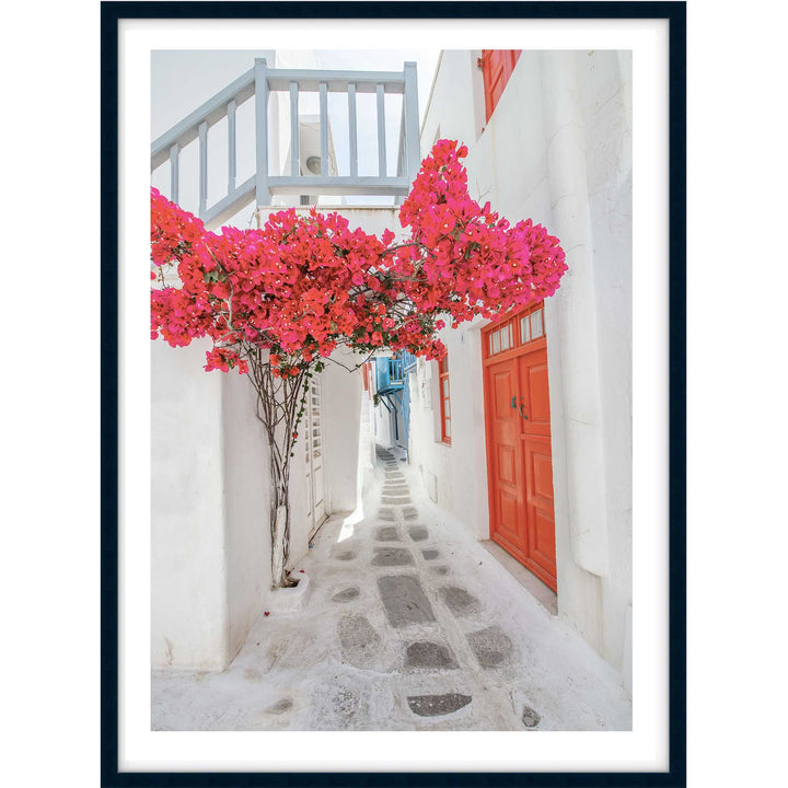 Citrus Doors