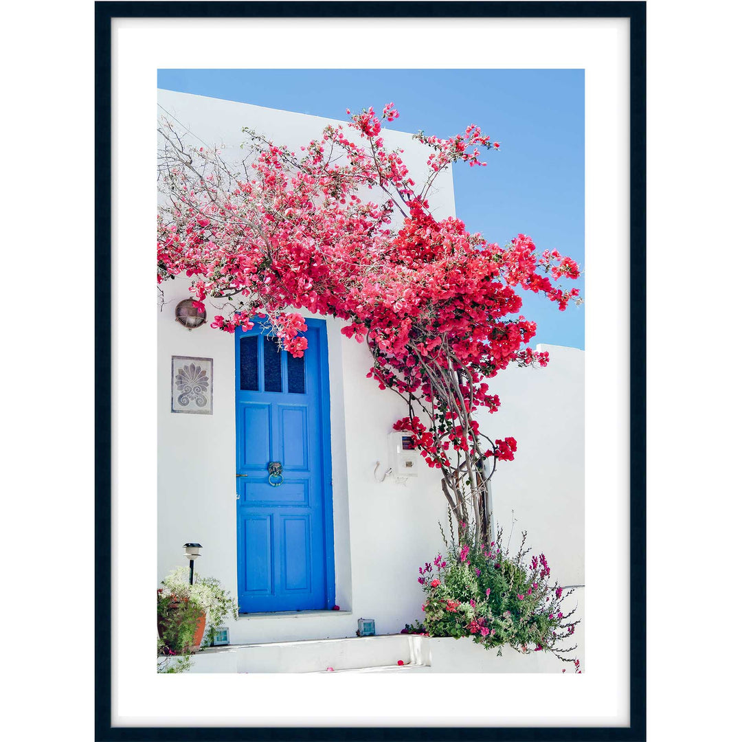 Greek Blooms