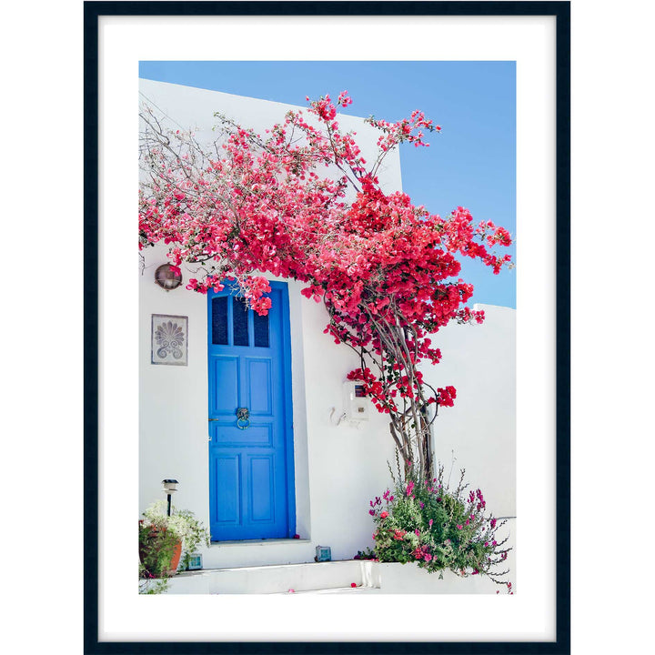 Greek Blooms