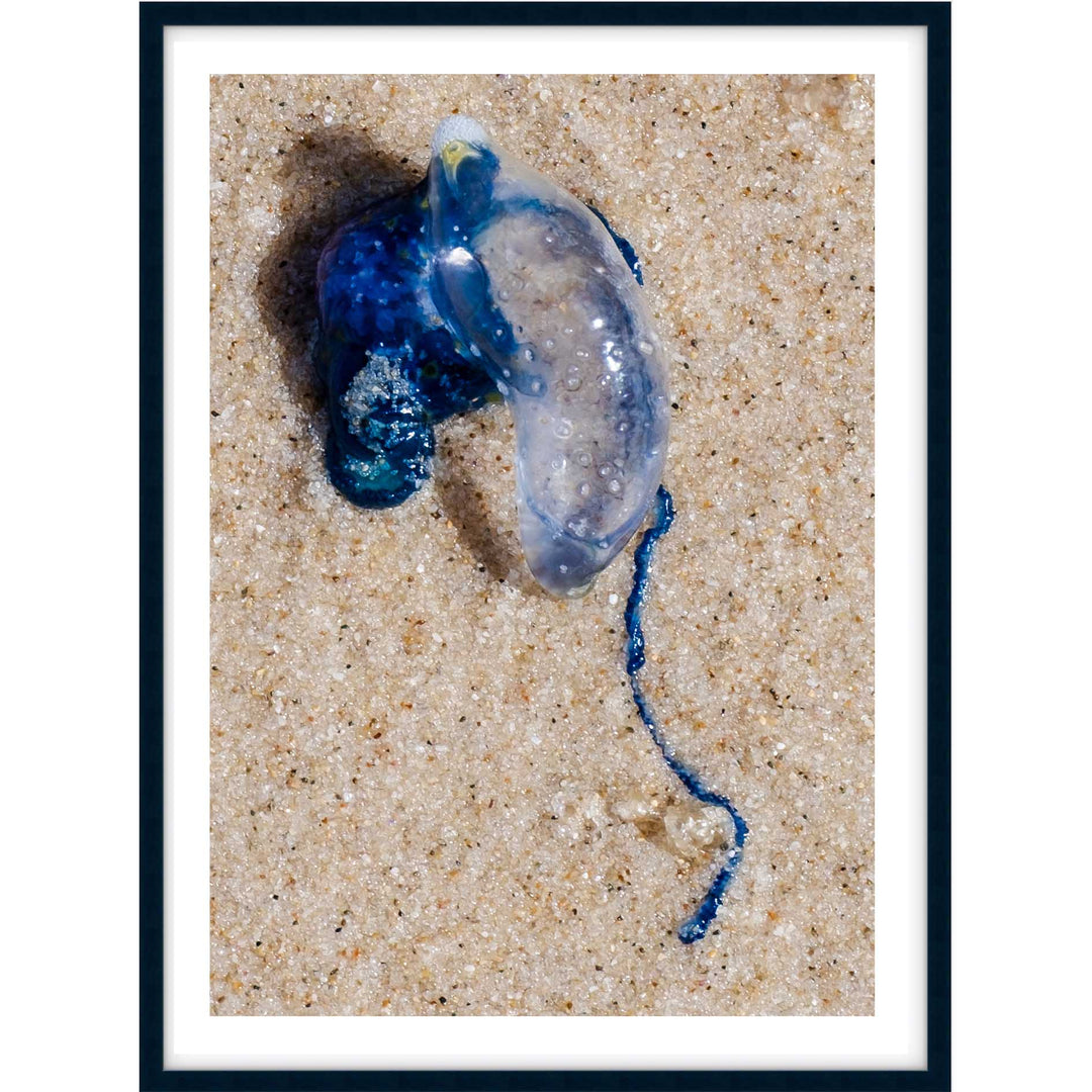 Washed Up Blue