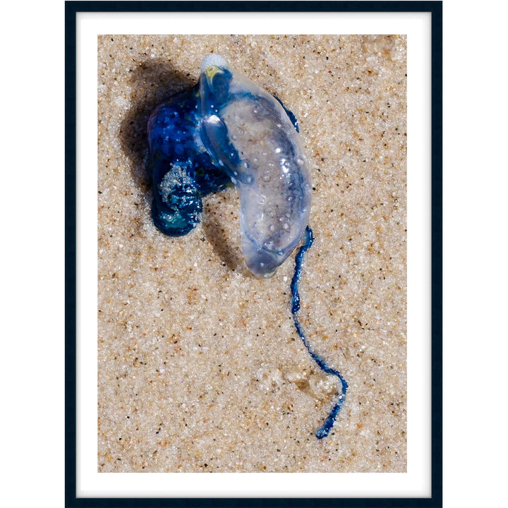 Washed Up Blue