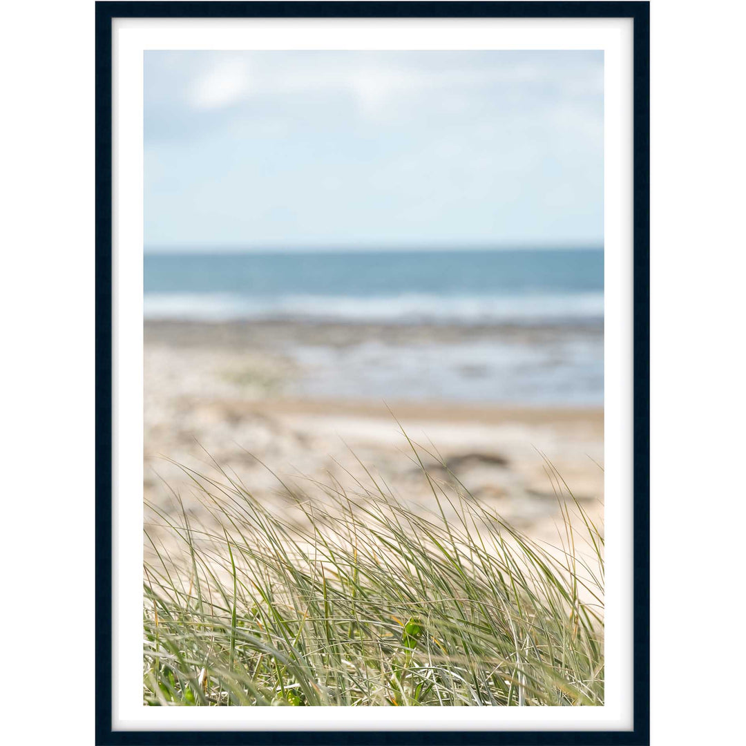Coastal Breeze