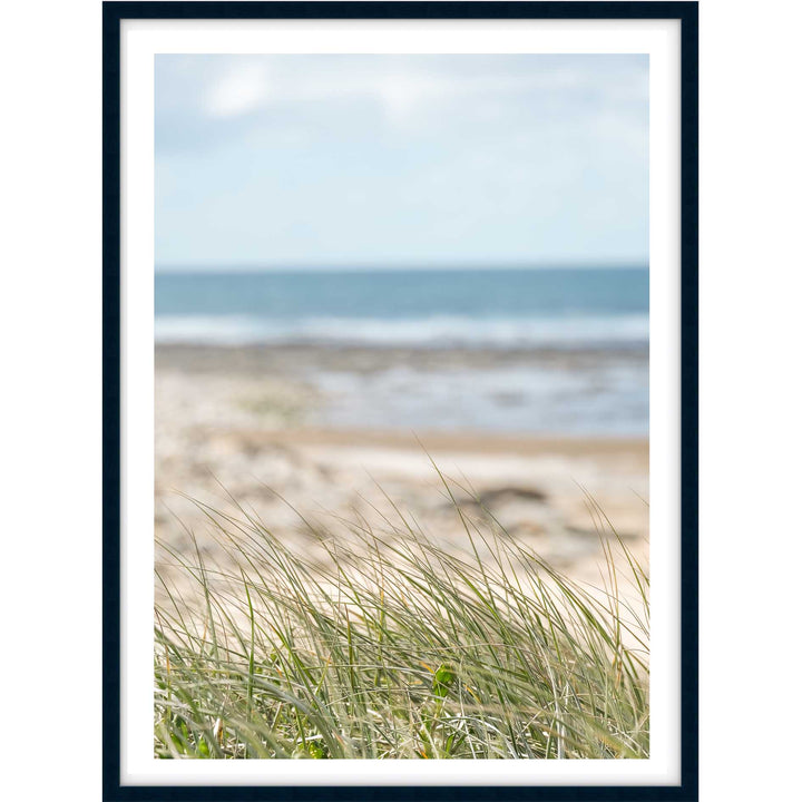 Coastal Breeze