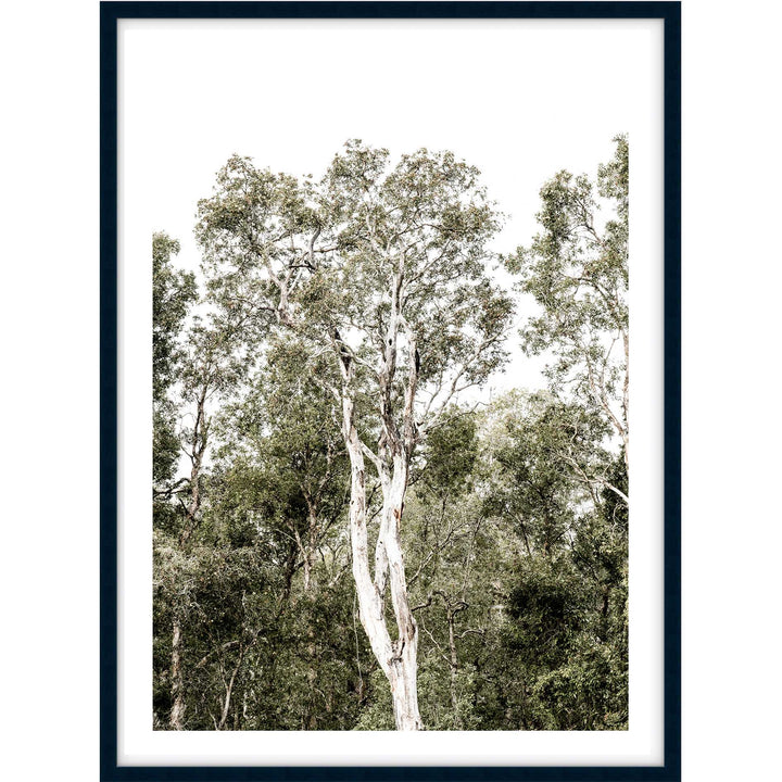Tall Gums I