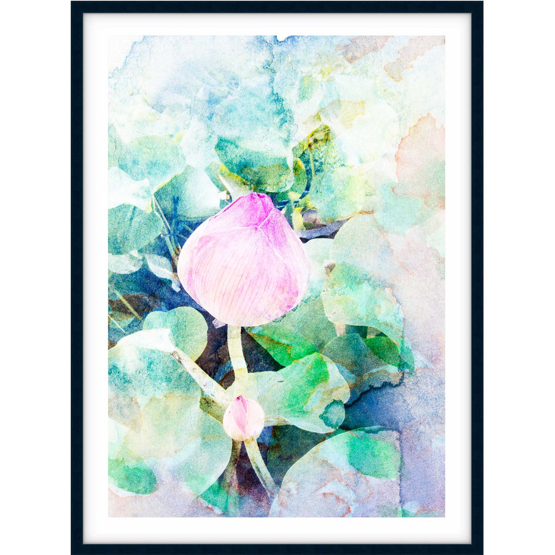 Watercoloured Rose