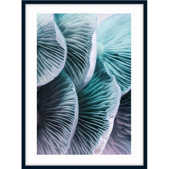 Blue Mushrooms