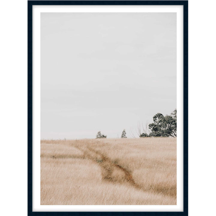 Traces