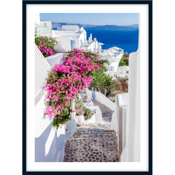 Santorini Wildflowers