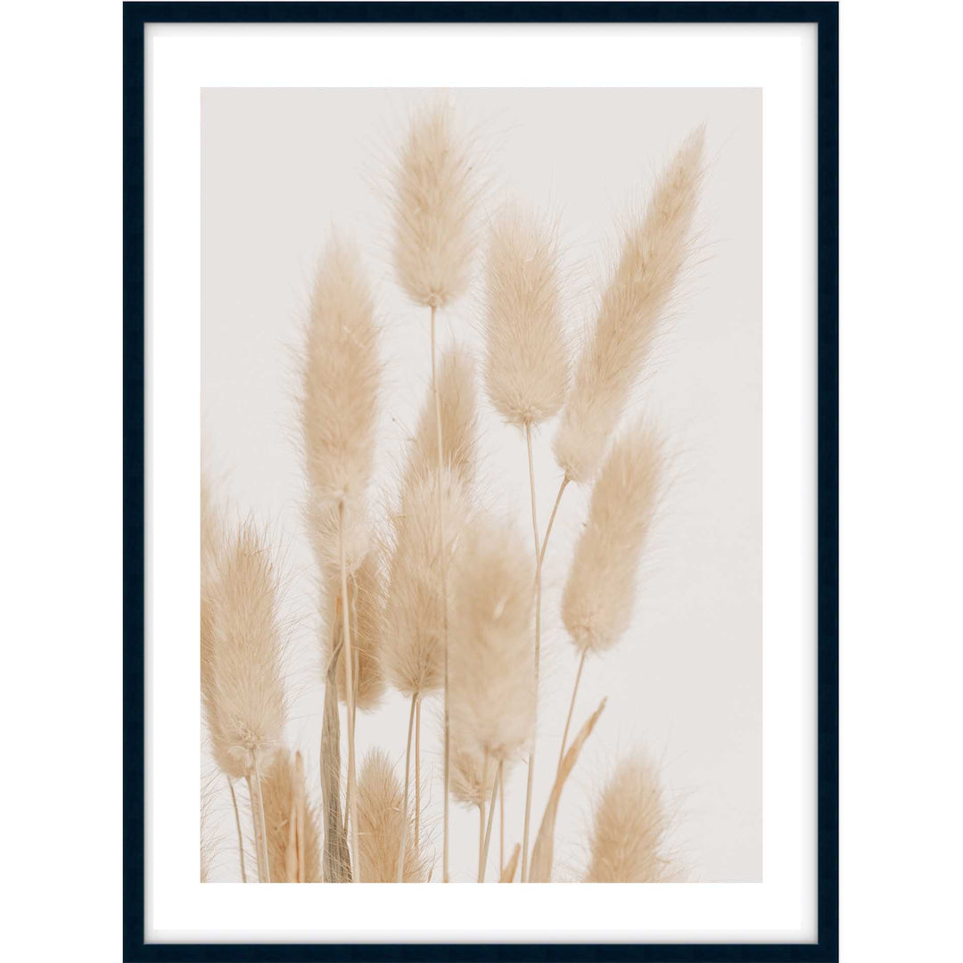 Bunny Tail Grass I