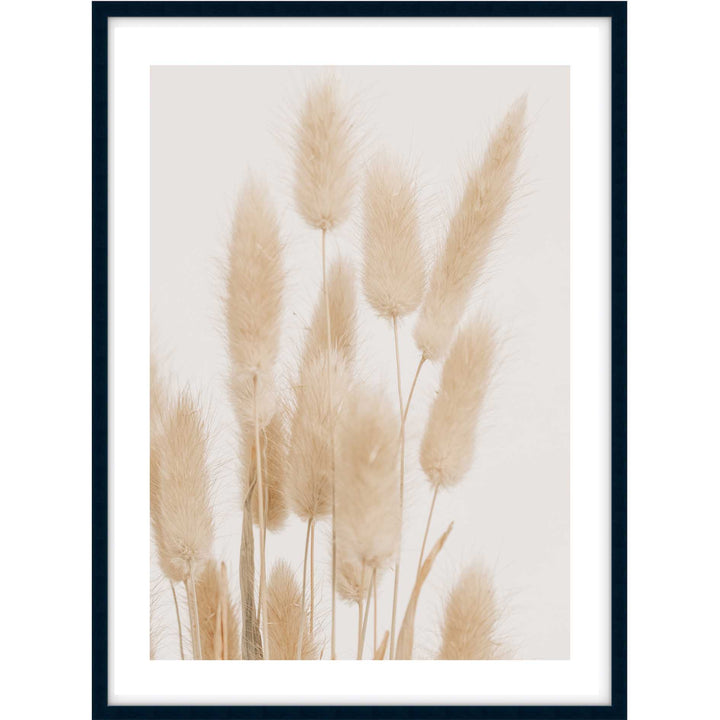 Bunny Tail Grass I