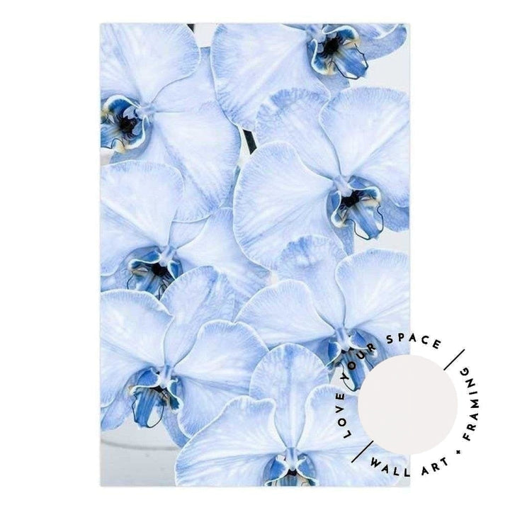 Blue Orchid no.1 - Love Your Space