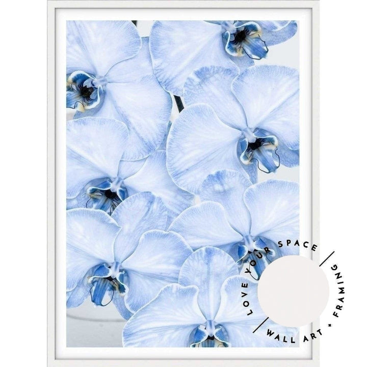 Blue Orchid no.1 - Love Your Space