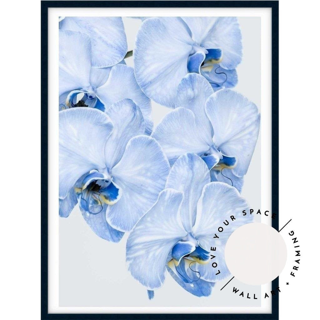 Blue Orchid no.2 - Love Your Space