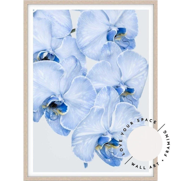 Blue Orchid no.2 - Love Your Space