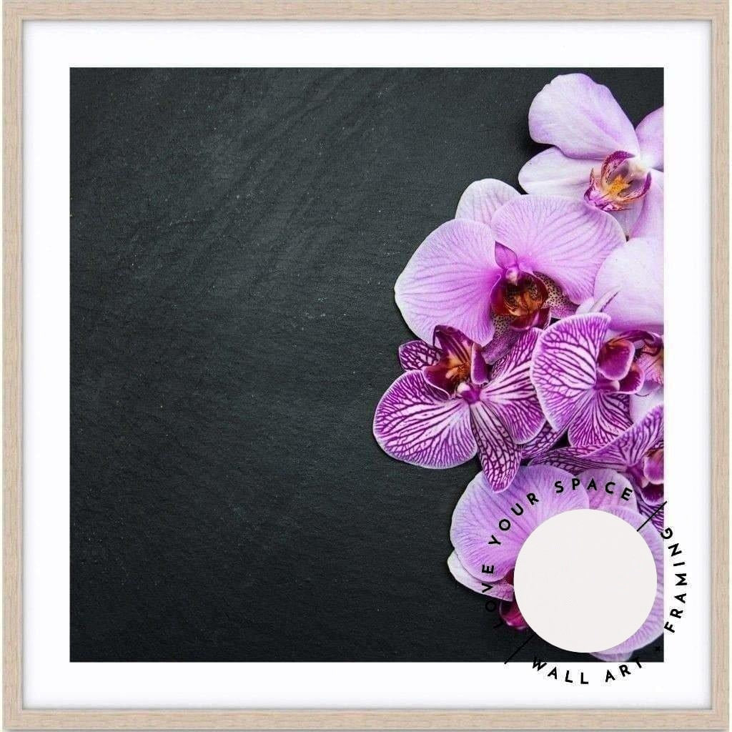 Bold Orchids - SQUARE - Love Your Space