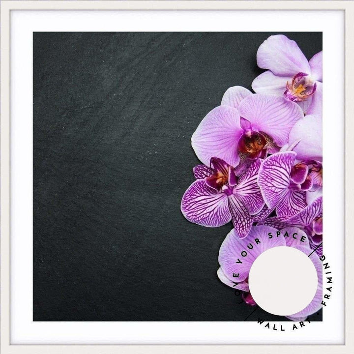 Bold Orchids - SQUARE - Love Your Space