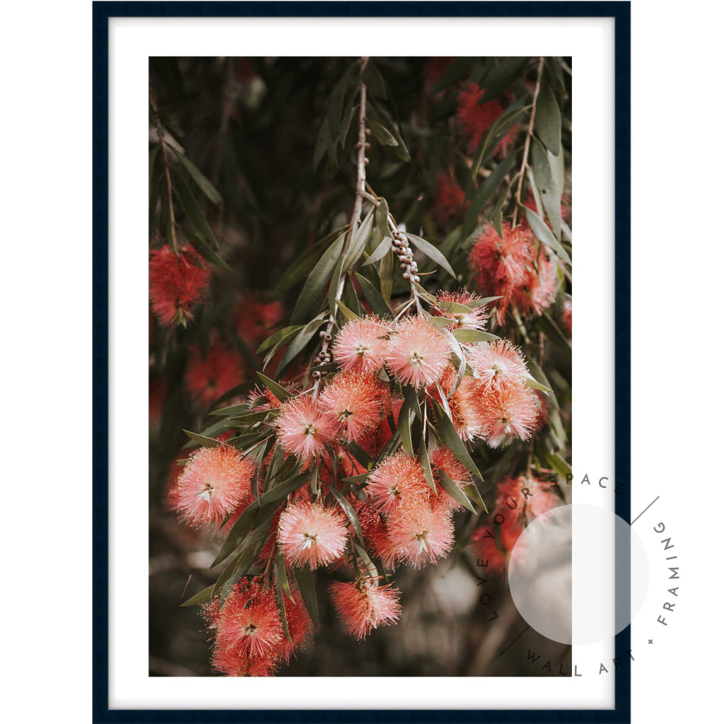 Bottle Brush I