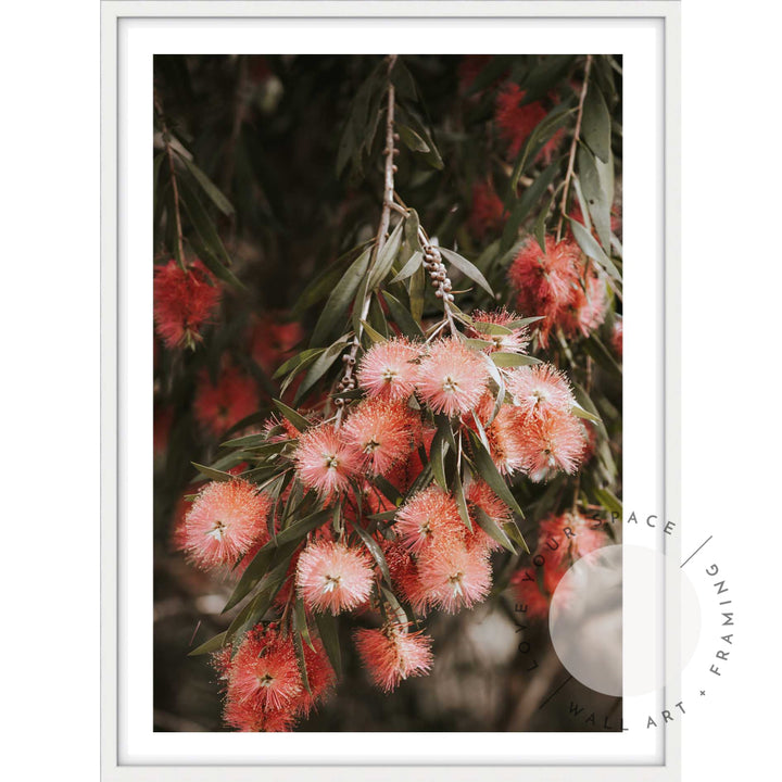 Bottle Brush I